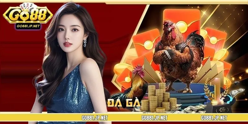 Đá Gà GO88 - Cược Đỉnh Cao, Nhiều Hình Thức Chơi Sôi Động