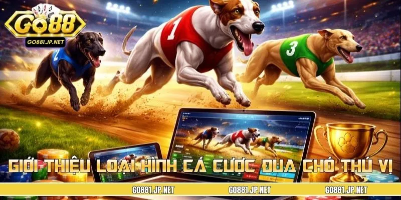 Giới thiệu tổng quát về loại hình cá cược đua chó thú vị