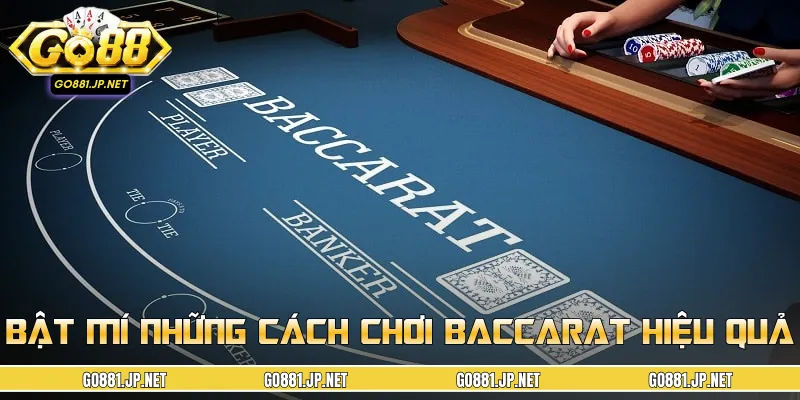 Hội viên nên áp dụng cách chơi Baccarat từ các cao thủ
